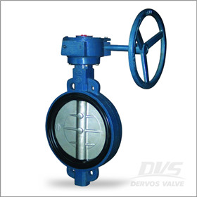 ISO 5752 Wafer Butterfly Valve, GG25, PN10
