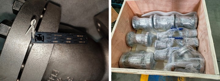 3" 300LB Y Type-Strainers ASTM A995 4A RF