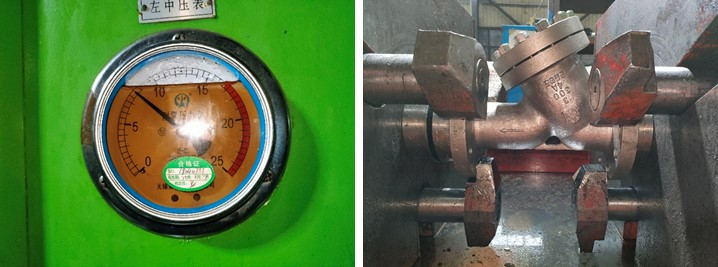 3" 300LB Y Type-Strainers ASTM A995 4A RF