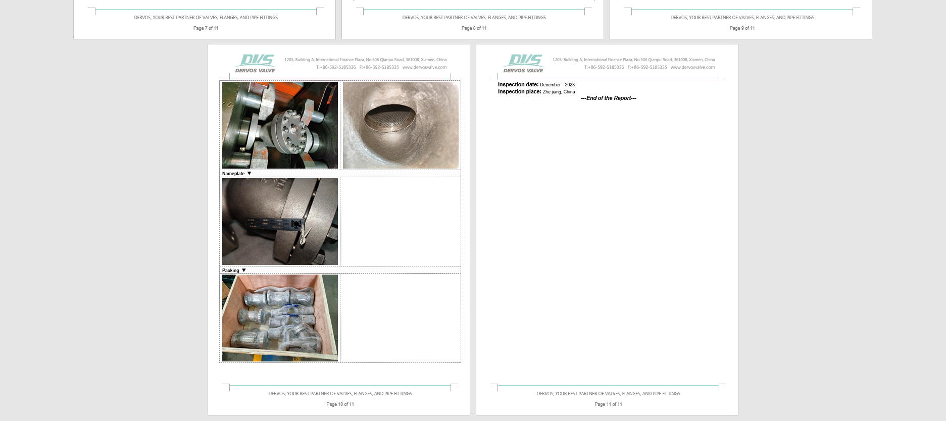 3" 300LB Y Type-Strainers ASTM A995 4A RF