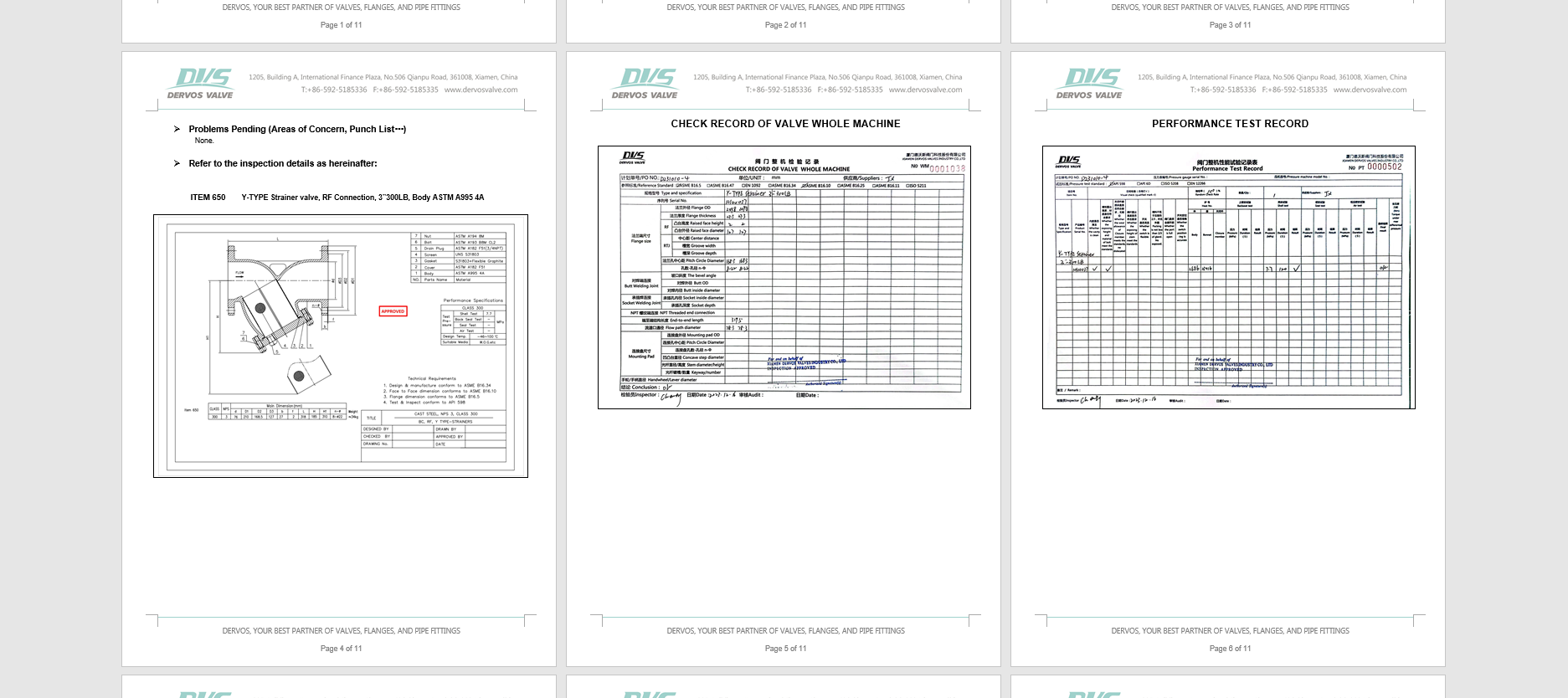 3" 300LB Y Type-Strainers ASTM A995 4A RF