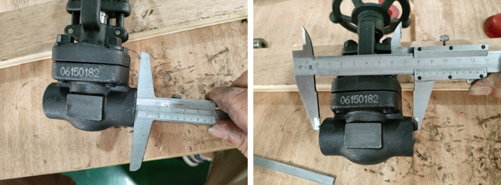 Forged Steel Gate Valve 