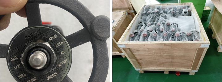 Forged Steel Gate Valve 