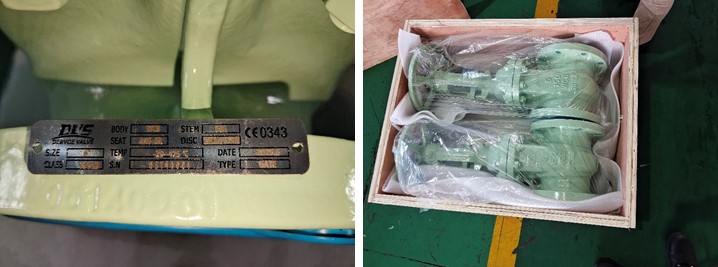 6”150LB Cast Steel Gate Valve