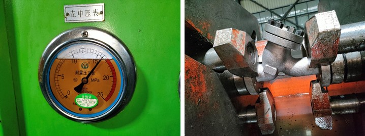 Cast Steel Y Strainer 