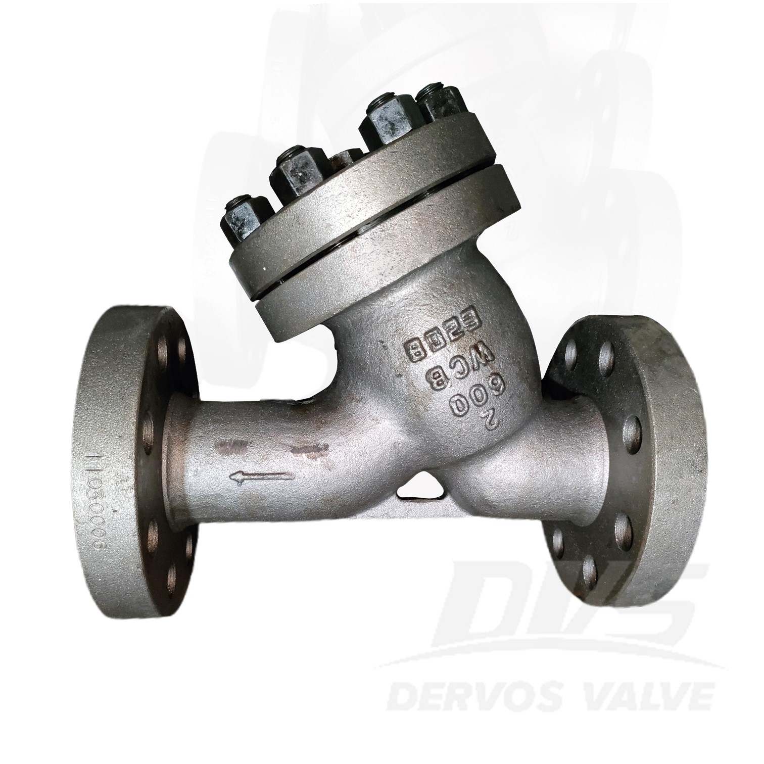 2” 600LB Cast Steel Y Strainer WCB ASME B16.34 RF