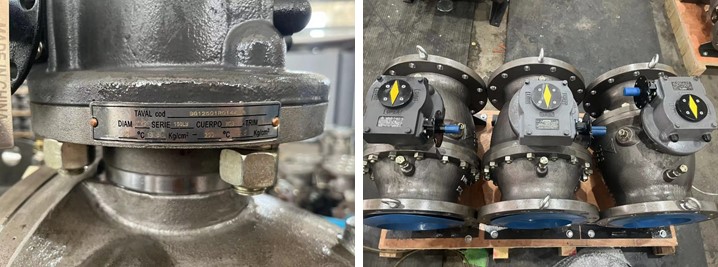 Trunnion Mounted Ball Valve