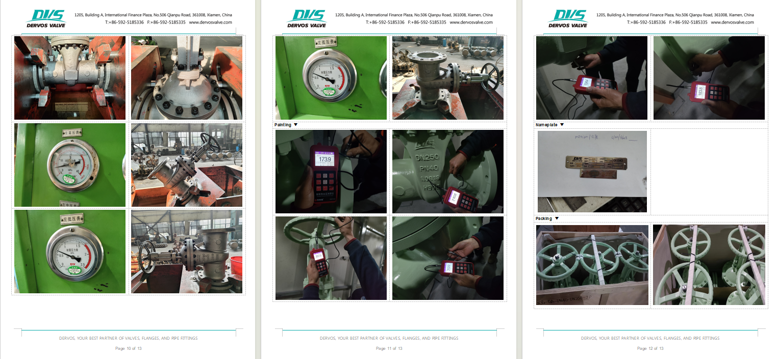 Cast Steel Gate Valve