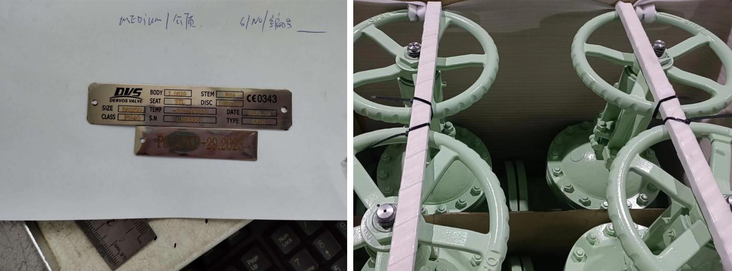 Cast Steel Gate Valve