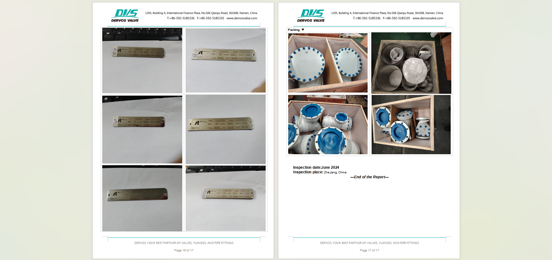 Cast Steel Y Type Strainer