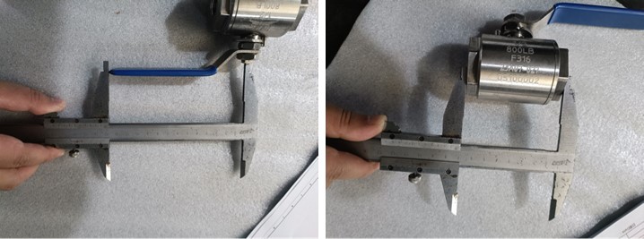 Forged Steel Floating Ball Valve