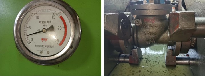 Cast Steel Swing Check Valve