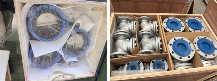 Cast Steel Swing Check Valve