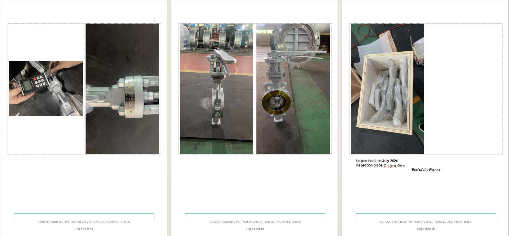 Three Eccentric Butterfly Valve