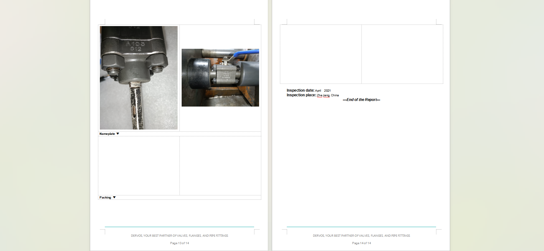 Forged Steel Floating Ball Valve