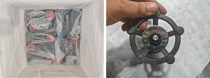 Forged Steel Gate Valve