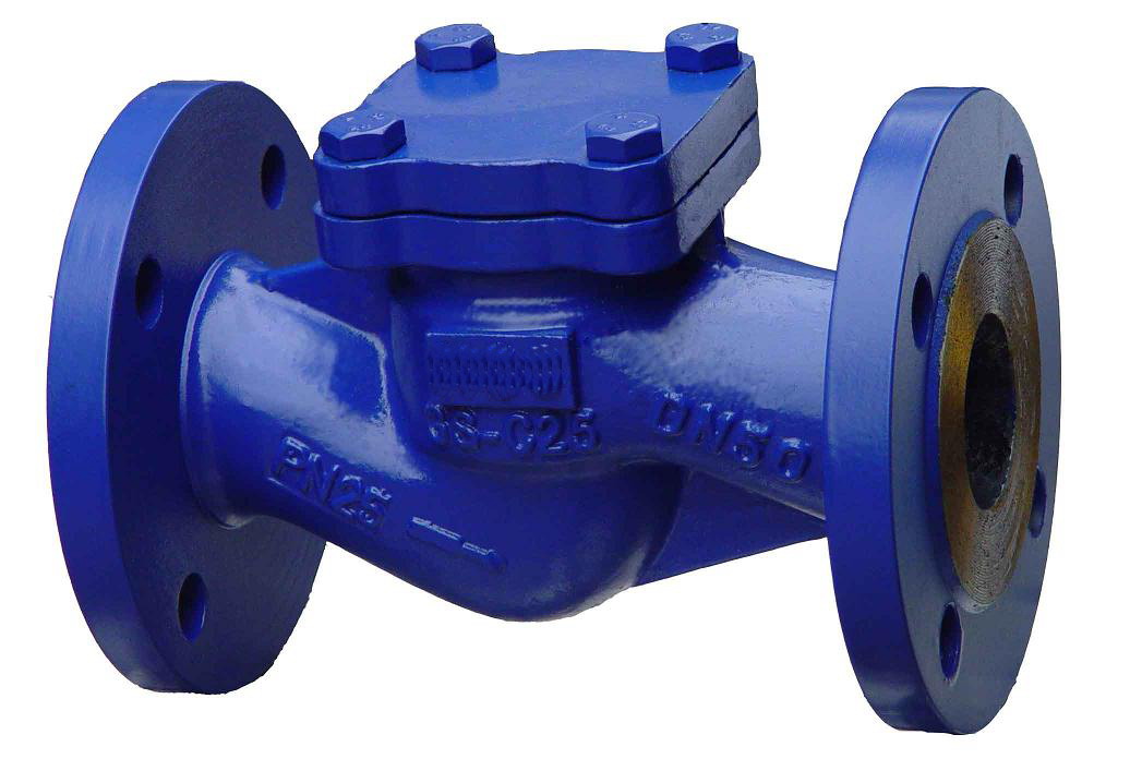 The Development Characteristic of Check Valve