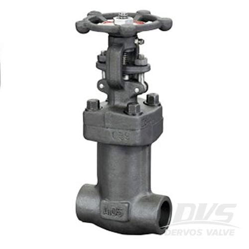 API 602 Bellows Sealed Globe Valve, Forged, Bolted Bonnet