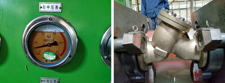Y Type Strainer