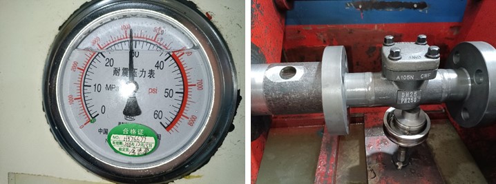 DN25 PN250 Flange Lift Check Valve, Body A105N, BS5352, EN1092-1 D