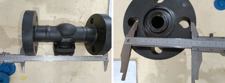 DN25 PN250 Flange Lift Check Valve, Body A105N, BS5352, EN1092-1 D
