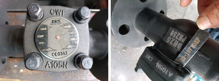DN25 PN250 Flange Lift Check Valve, Body A105N, BS5352, EN1092-1 D
