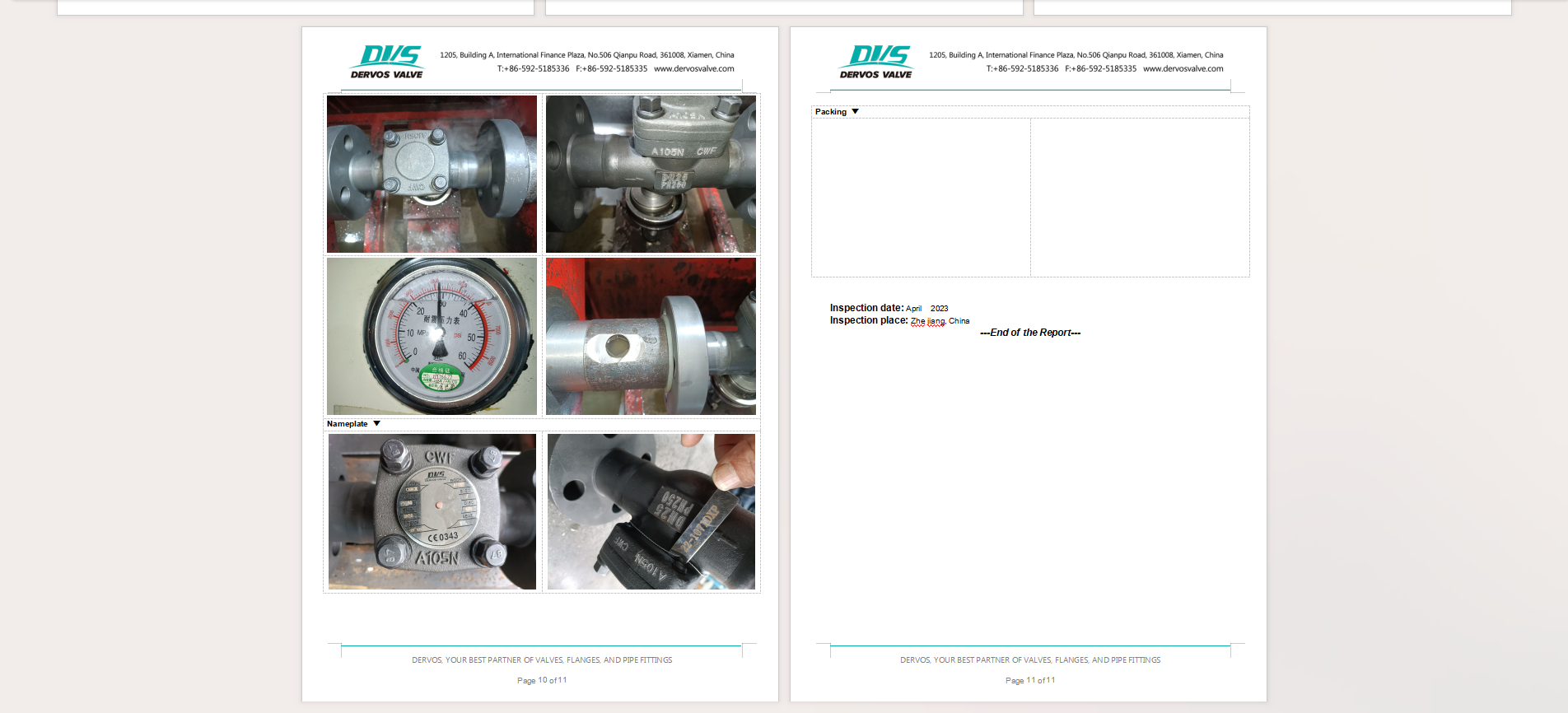 DN25 PN250 Flange Lift Check Valve, Body A105N, BS5352, EN1092-1 D