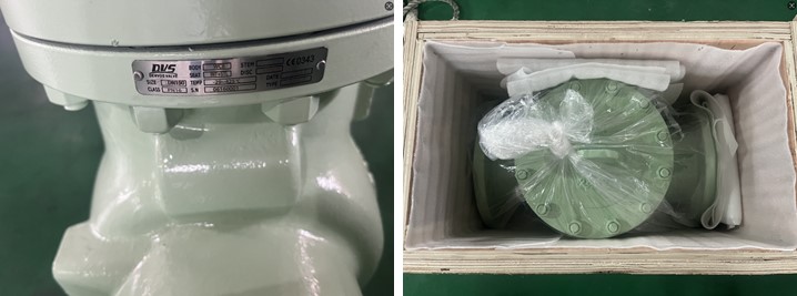 Body WCB, DN150 PN16 Swing Check Valve, RF, BS 1868