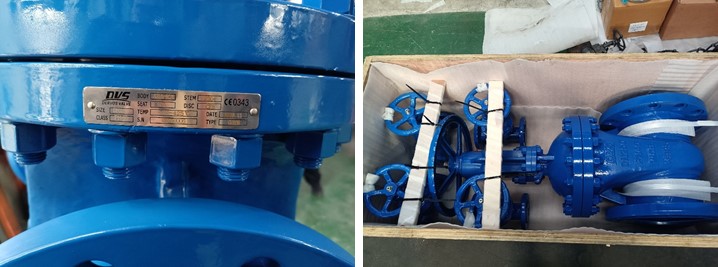DN250 PN40 Cast Steel Gate Valve, RF, Body WCB, EN1984