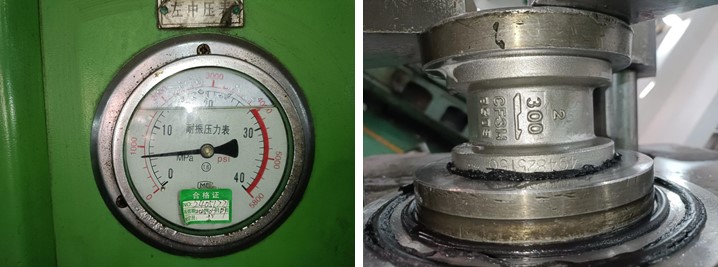 2" 300LB Dual Plate Wafer Type Check Valve A351 CF3M