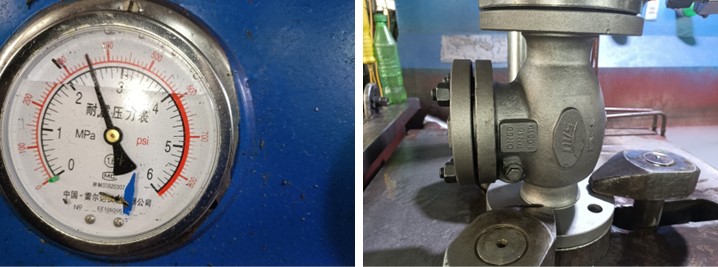 Swing Check Valve
