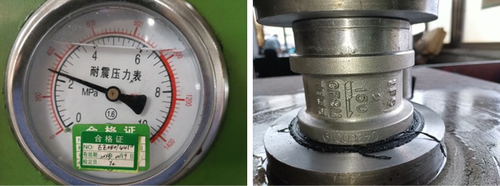 Dual Plate Wafer Check Valve