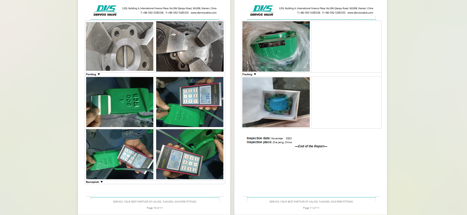 Dual Plate Wafer Check Valve