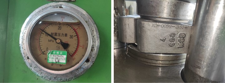 Dual Plate Wafer Check Valve