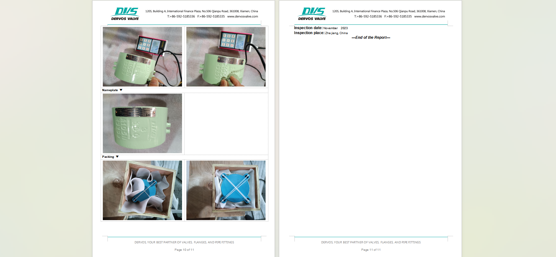 Dual Plate Wafer Check Valve
