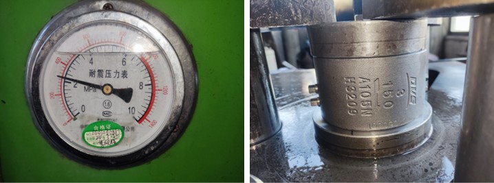 Dual Plate Wafer Check Valve