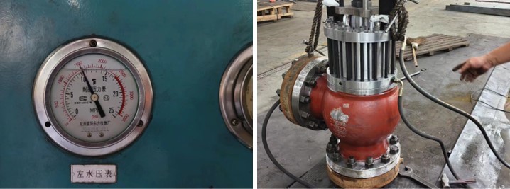 Needle Globe Valve