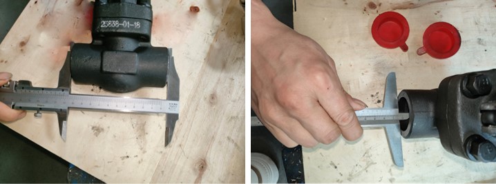 Forged Steel Globe Valve