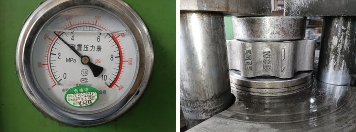 Dual Plate Check Valve