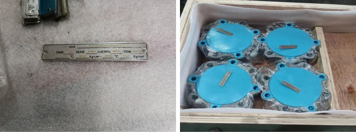 Dual Plate Check Valve