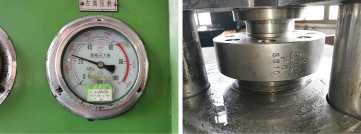 Wafer Type Check Valve