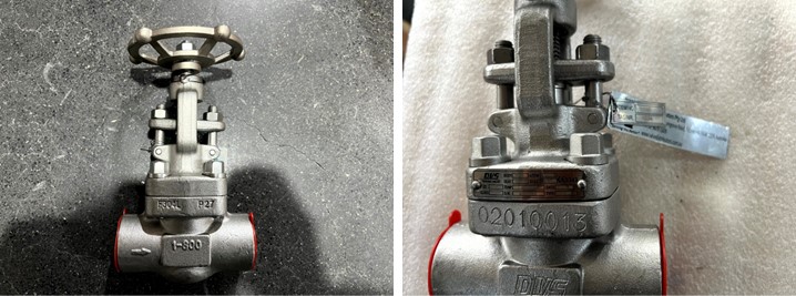 Forged Steel Globe Valve