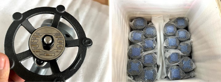 Forged Steel Flange Globe Valve 