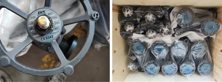 Forged Steel Flange Globe Valve