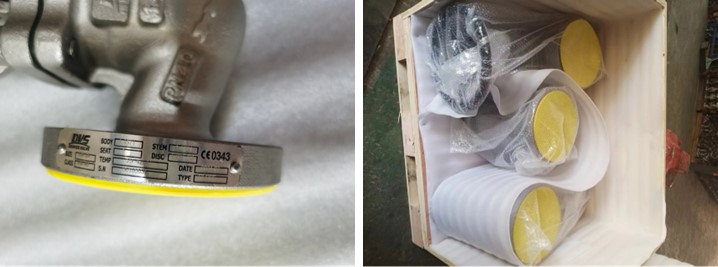 Austenitic Stainless Steel Globe Valve