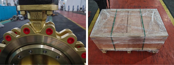 Triple Offset Butterfly Valve