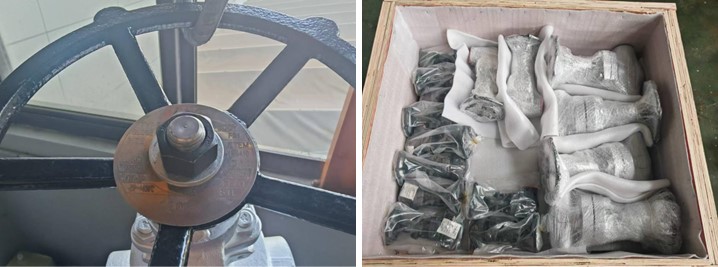 Forged Steel Globe Valve