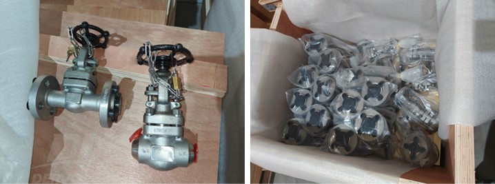 Needle Globe Valve