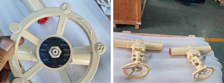 Forged Steel Globe Valve