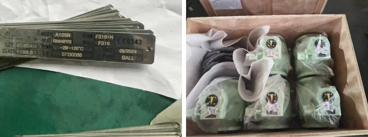 Forged Steel Trunnion Ball Valve 